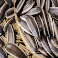 Raw Natural Chinese Agriculture Black Sunflower Seeds